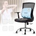 Gối tựa lưng văn phòng cao su non vỏ mát GTL-10