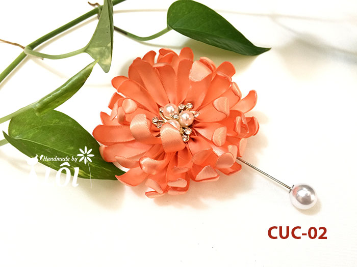 Cúc cánh cam
